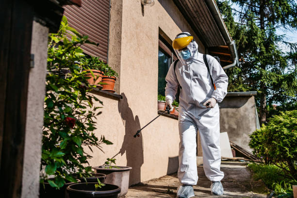 Reliable Nanuet, NY Pest Control Solutions