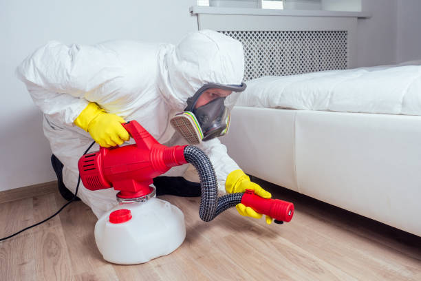 Best Spider Control Near Me  in Nanuet, NY