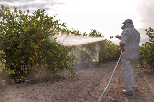 Best Pest Control for Businesses  in Nanuet, NY