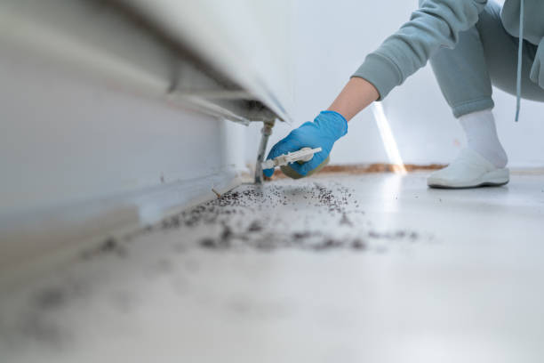 Pest Prevention Services in Nanuet, NY