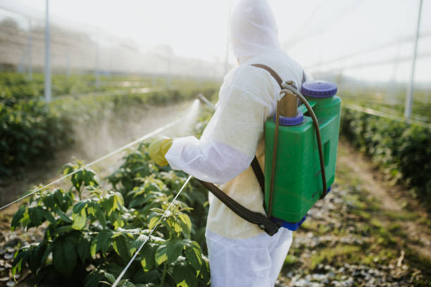 Best Insect Control  in Nanuet, NY